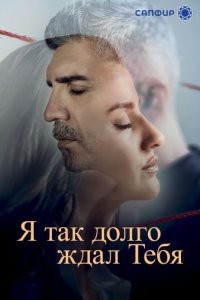 Я так долго тебя ждал
